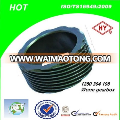 Bus And Truck Parts Gearbox Worm Manufacturer in China(1250 304 198)